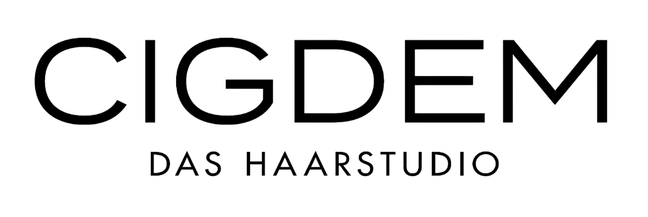 CIGDEM logo